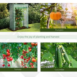 image-100 x 50 x 150cm Greenhouse w/ Zipper Roll-up Door Outdoor Green