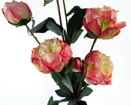 image-55cm Pink Peony Artificial Flowers Spray - 4 Flowers 3 Buds