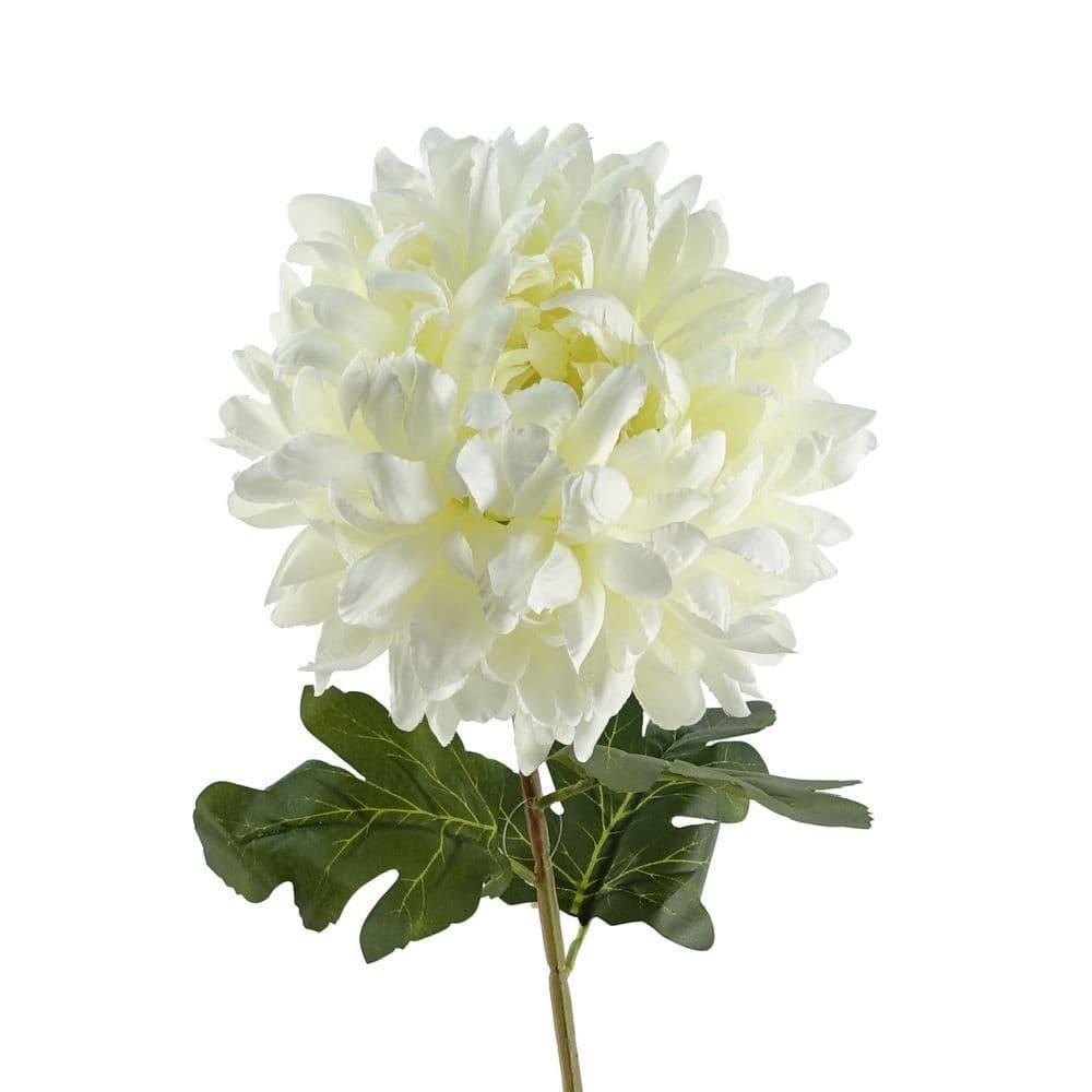 image-75cm Extra Large Reflex Chrysanthemum - White