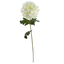 image-75cm Extra Large Reflex Chrysanthemum - White