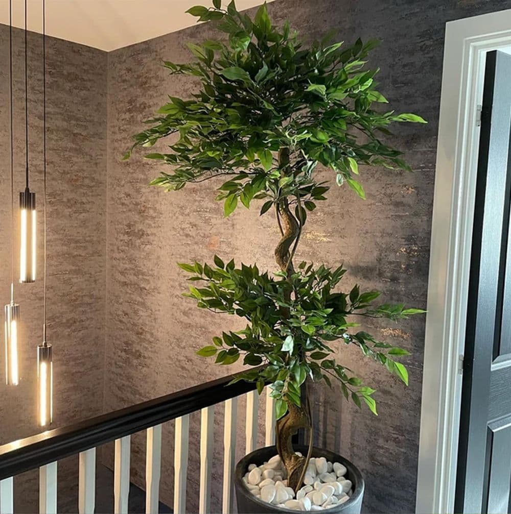 image-150cm Twisted Trunk Artificial Japanese Fruticosa Style Ficus Tree