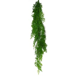 image-100cm Hanging String of Pearls Fern Plant Light Green