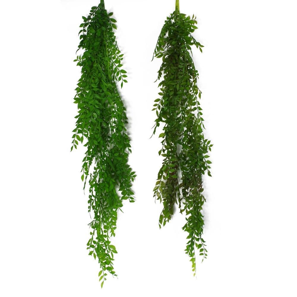 image-100cm Hanging String of Pearls Fern Plant Light Green