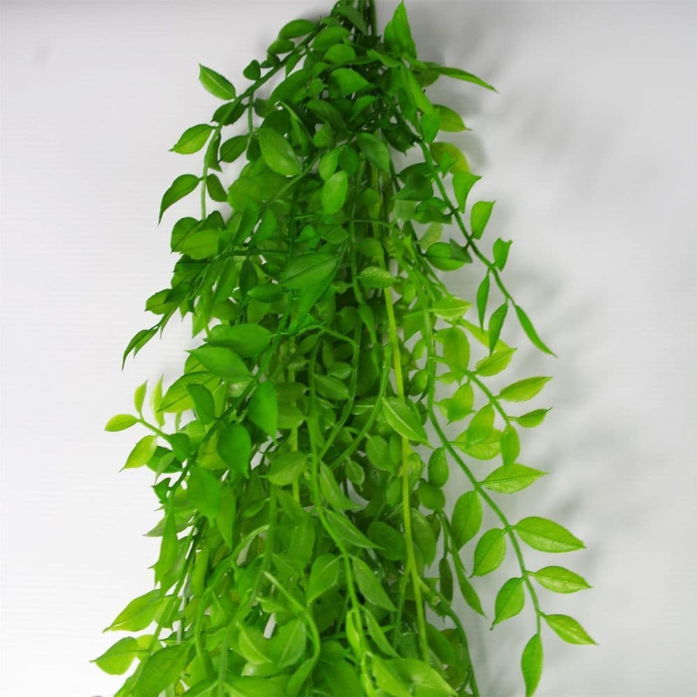 image-100cm Hanging String of Pearls Fern Plant Light Green