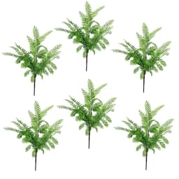 image-6 x 55cm Himilayan Maidenhair Fern Bush Light Green Plant