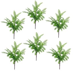 image-6 x 55cm Himilayan Maidenhair Fern Bush Light Green Plant