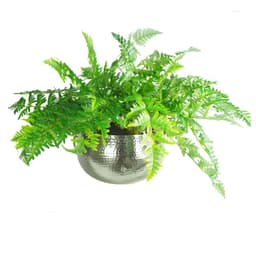 image-Leaf Large Metal Planter Bowl 32 x 20cm Hammered Silver Colour - Straight Edge