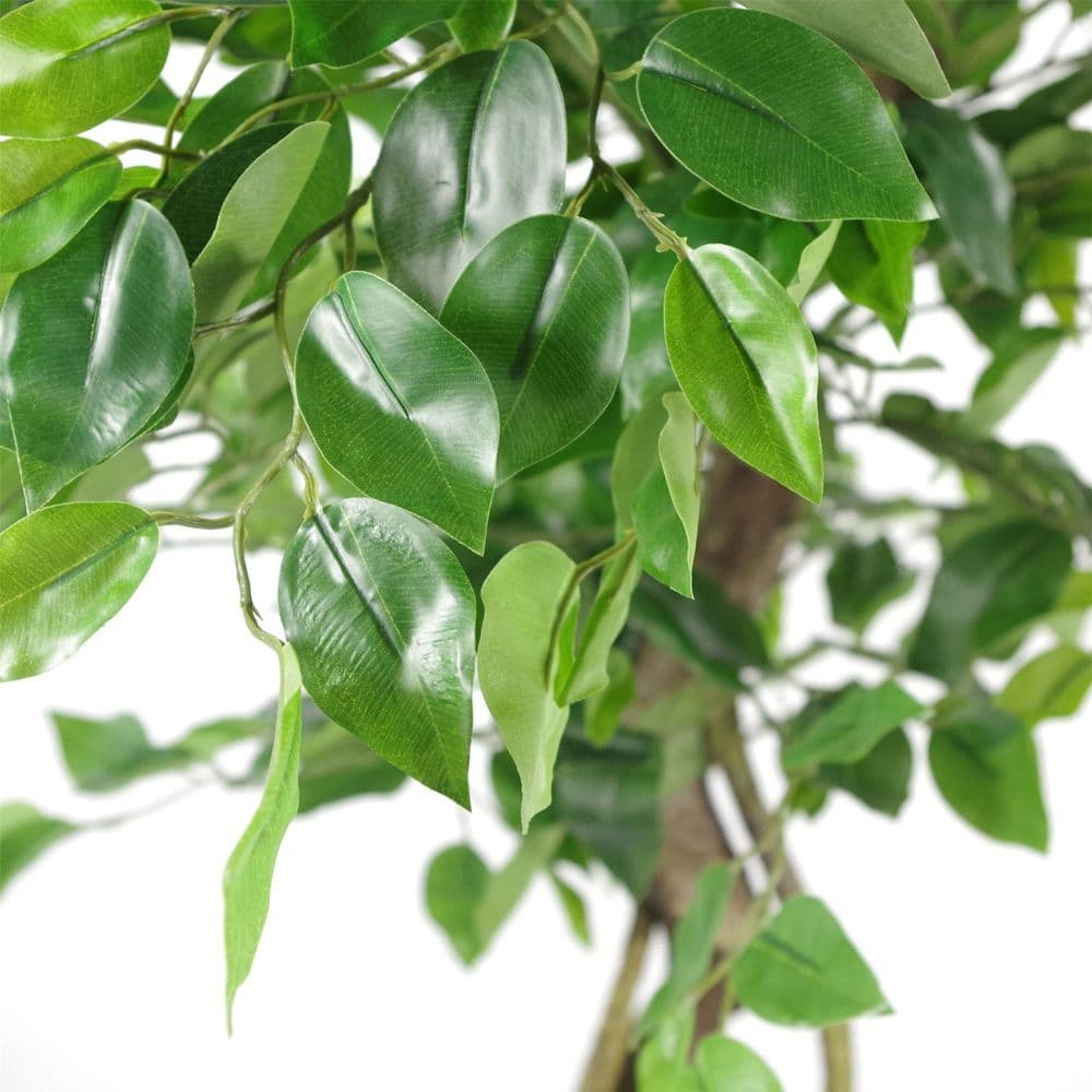 image-120cm Twisted Trunk Artificial Japanese Fruticosa Style Ficus Tree