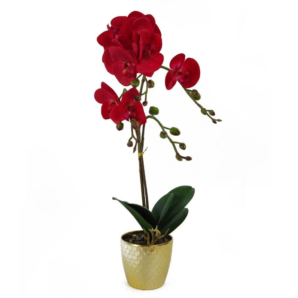 image-50cm Phalaenopsis Orchid Artificial - Red Leopard - Gold Pot