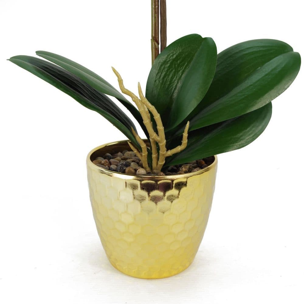 image-50cm Phalaenopsis Orchid Artificial - Red Leopard - Gold Pot
