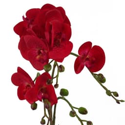 image-50cm Phalaenopsis Orchid Artificial - Red Leopard - Gold Pot