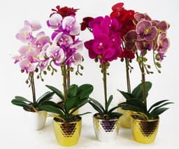 image-50cm Phalaenopsis Orchid Artificial - Red Leopard - Gold Pot