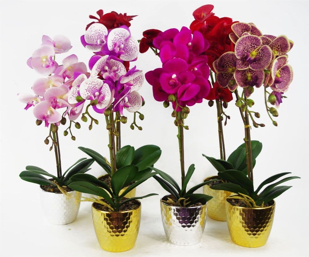 image-50cm Phalaenopsis Orchid Artificial - Red Leopard - Gold Pot