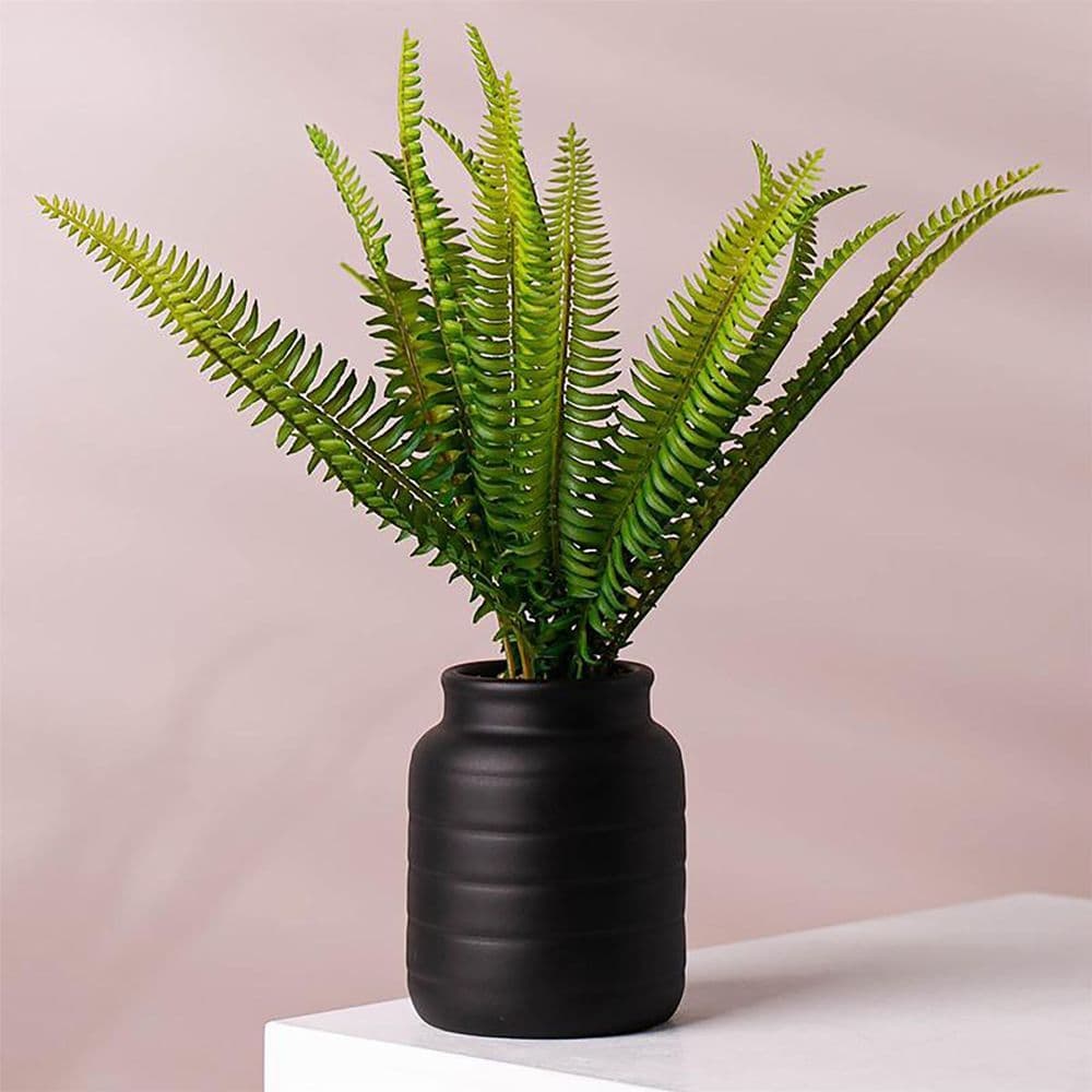 image-Black Vase Planter 13 x 13 x 14cm