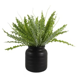 image-Black Vase Planter 13 x 13 x 14cm