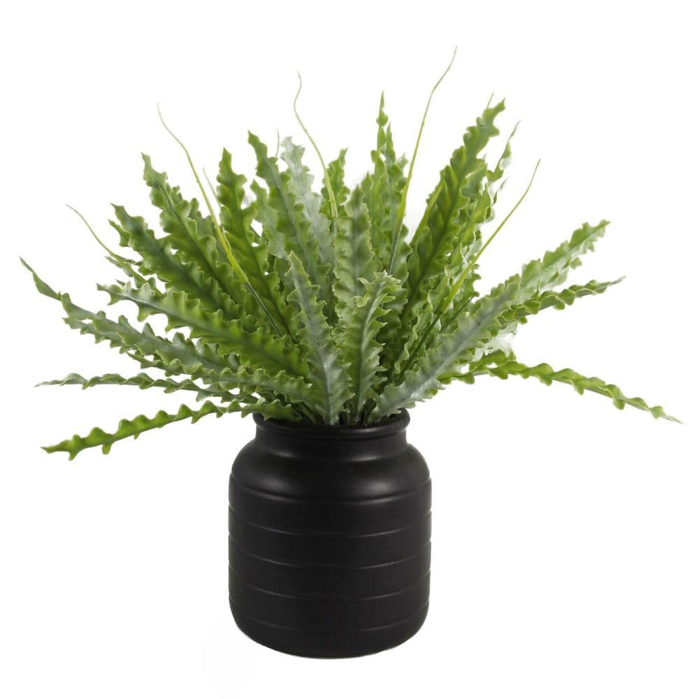 image-Black Vase Planter 13 x 13 x 14cm