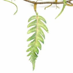 image-125cm Artificial Trailing Hanging Fern Foliage Plant Realistic