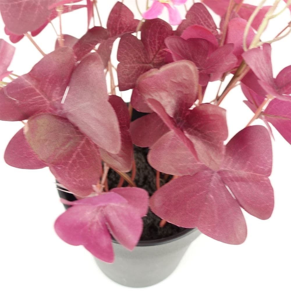 image-30cm Artificial Plant Realistic Purple Shamrock Pink Flowers Potted
