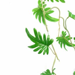 image-100cm Artificial Trailing Hanging Philodendron Small Leaf Plant Realistic