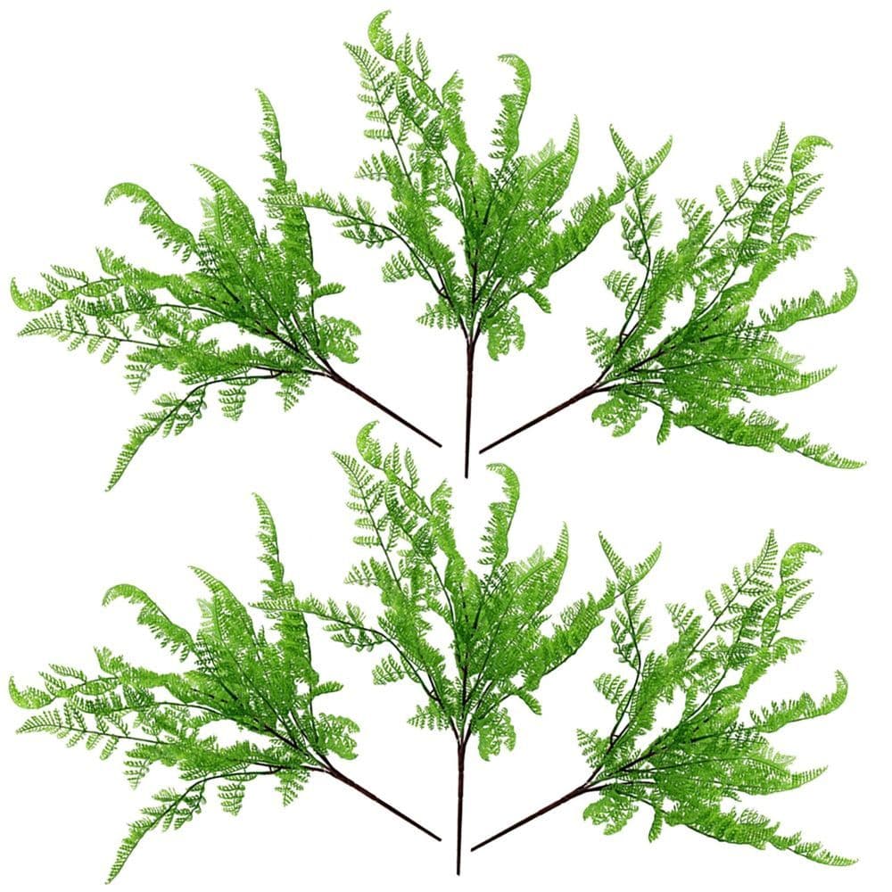 image-6 x 50cm Southern Wood Fern Bush Dark Green Plant
