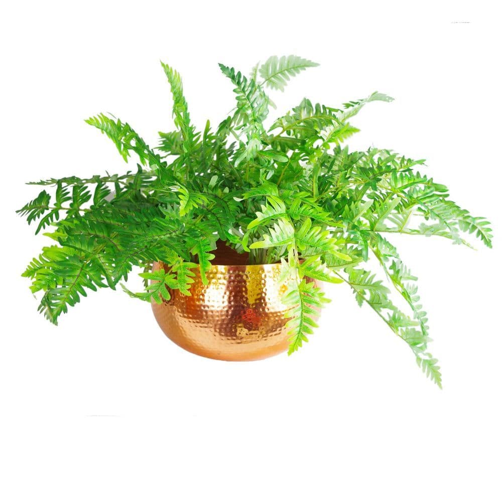 image-Leaf Large Metal Planter Bowl 32 x 20cm Hammered Copper Colour - Straight Edge