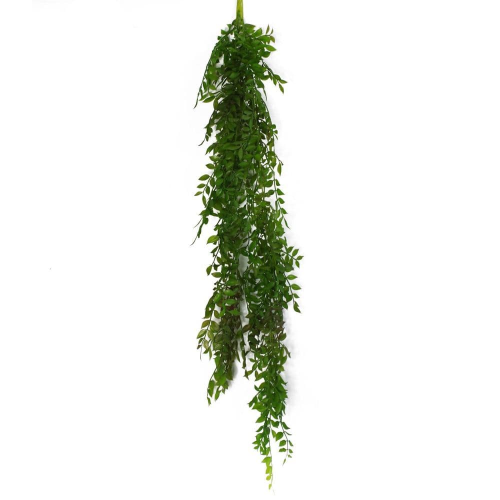 image-100cm Hanging String of Pearls Fern Plant Dark Green