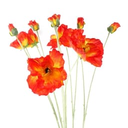 image-100cm Poppy and White Blossom Arrangement Glass Vase