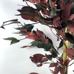 image-120cm (4ft) Artificial Dark Red Green Ficus Plant - Gold Planter