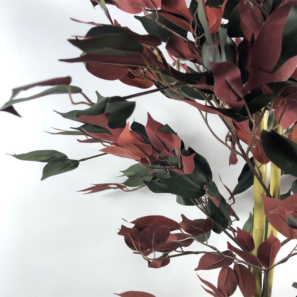 image-120cm (4ft) Artificial Dark Red Green Ficus Plant - Gold Planter