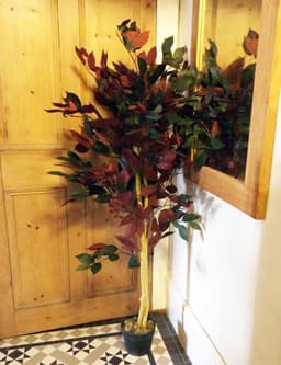 image-120cm (4ft) Artificial Dark Red Green Ficus Plant - Gold Planter
