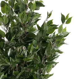 image-110cm Leaf Realistic Artificial Ficus Tree / Plant Multicolour Planter