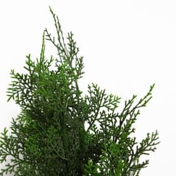 image-90cm Artificial Cypress Topiary