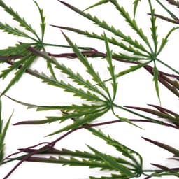 image-Pack of 12 x 100cm Artificial Hanging Acer Spider Plant