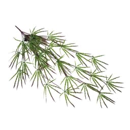 image-Pack of 12 x 100cm Artificial Hanging Acer Spider Plant