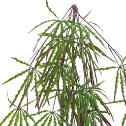 image-Pack of 12 x 100cm Artificial Hanging Acer Spider Plant