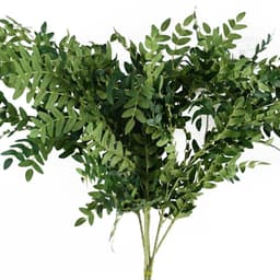 image-Pack of 6 x 100cm Artificial Fern Foliage Stem