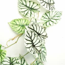 image-120cm Artificial Trailing Hanging Plant Realistic Alocasia Dragon Scale Light