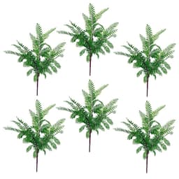 image-6 x 55cm Himilayan Maidenhair Fern Bush Dark Green Plant