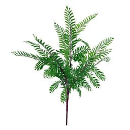 image-6 x 55cm Himilayan Maidenhair Fern Bush Dark Green Plant