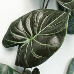 image-120cm Artificial Trailing Hanging Plant Realistic Alocasia Dragon Scale Dark