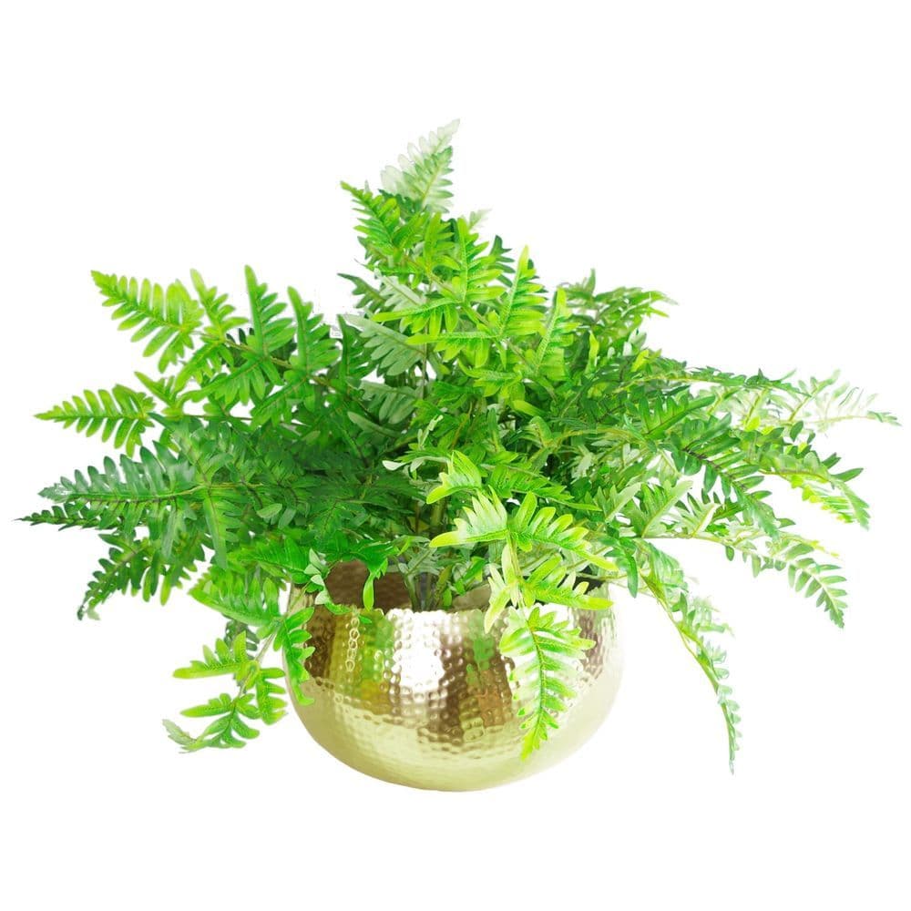 image-Leaf Large Metal Planter Bowl 32 x 20cm Hammered Gold Colour - Curvy Edge