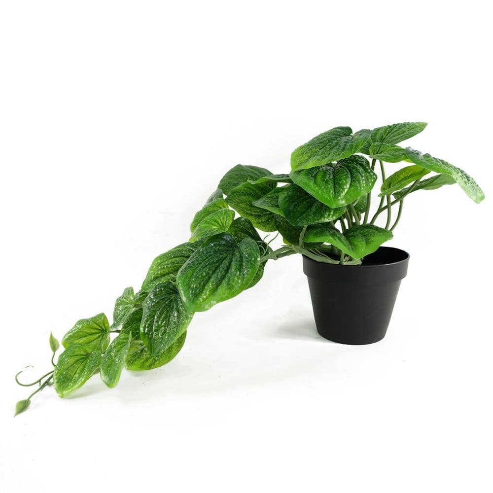image-35cm Artificial Trailing Green Potted Pothos Plant