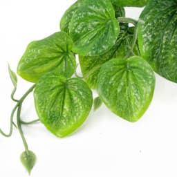 image-35cm Artificial Trailing Green Potted Pothos Plant