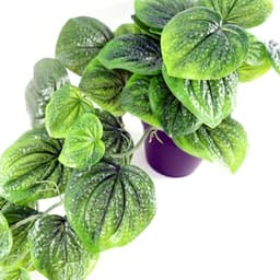 image-35cm Artificial Trailing Green Potted Pothos Plant
