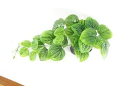 image-35cm Artificial Trailing Green Potted Pothos Plant