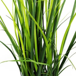 image-60cm Artificial Grass Plant Lemongrass