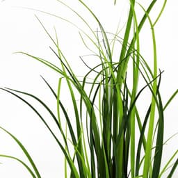 image-60cm Artificial Grass Plant Lemongrass