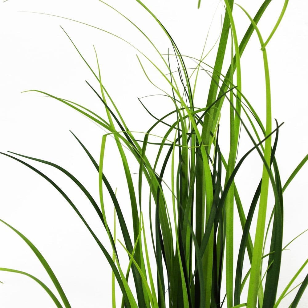 image-60cm Artificial Grass Plant Lemongrass