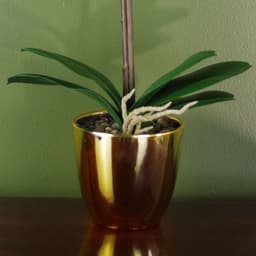 image-46cm Artificial Orchid Dark Pink / Gold