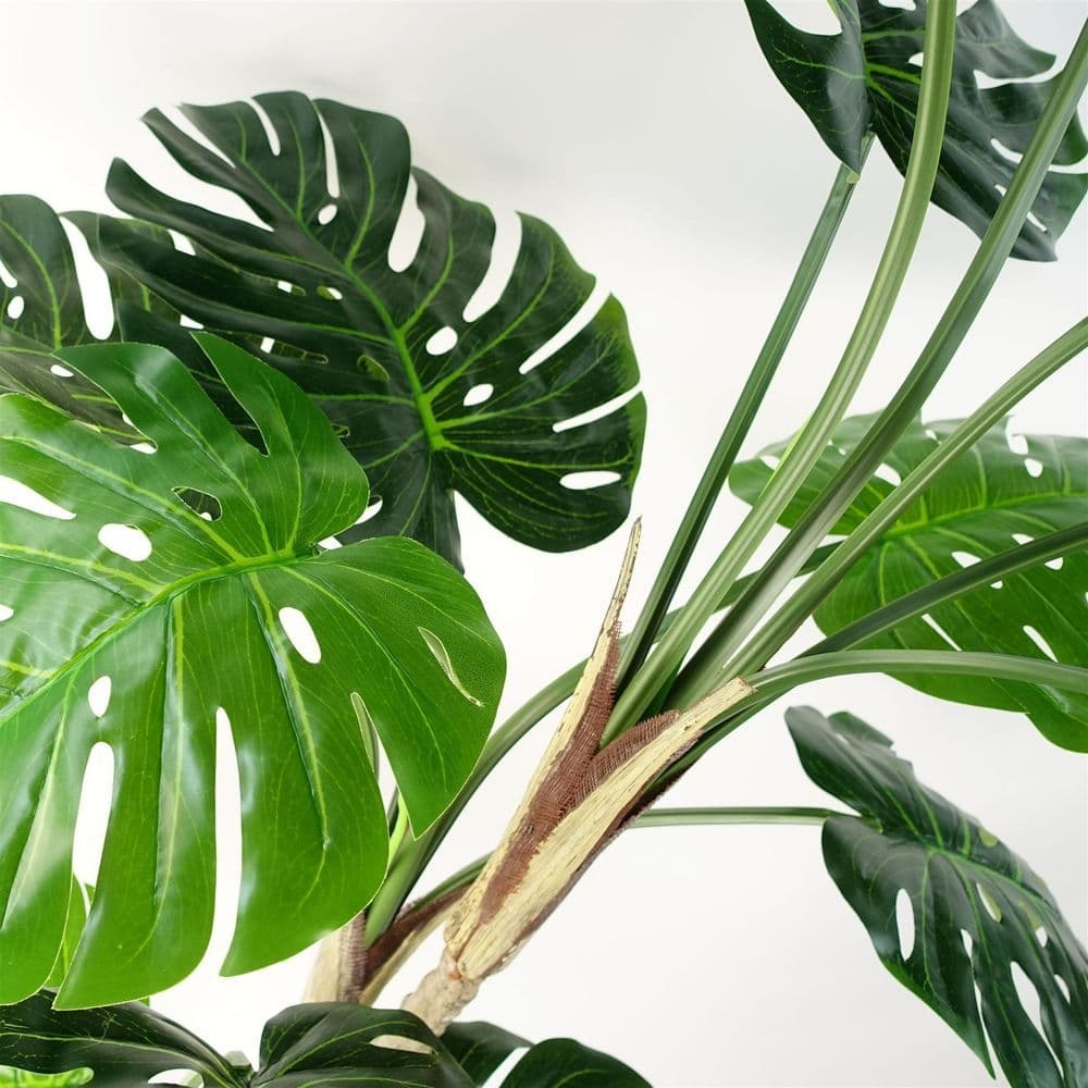 image-150cm (5ft) Luxury Monstera Cheese Plant Black Pot